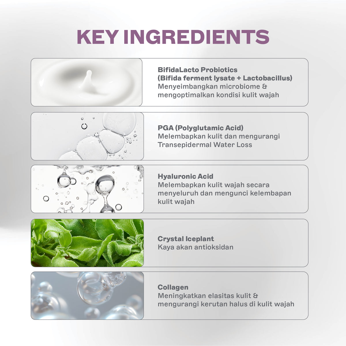 Probiome Skin Tonic