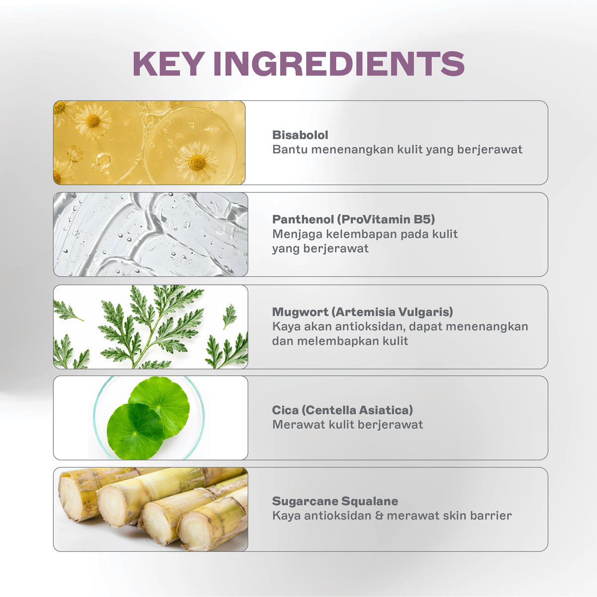 Fresh Skin Barrier Cream