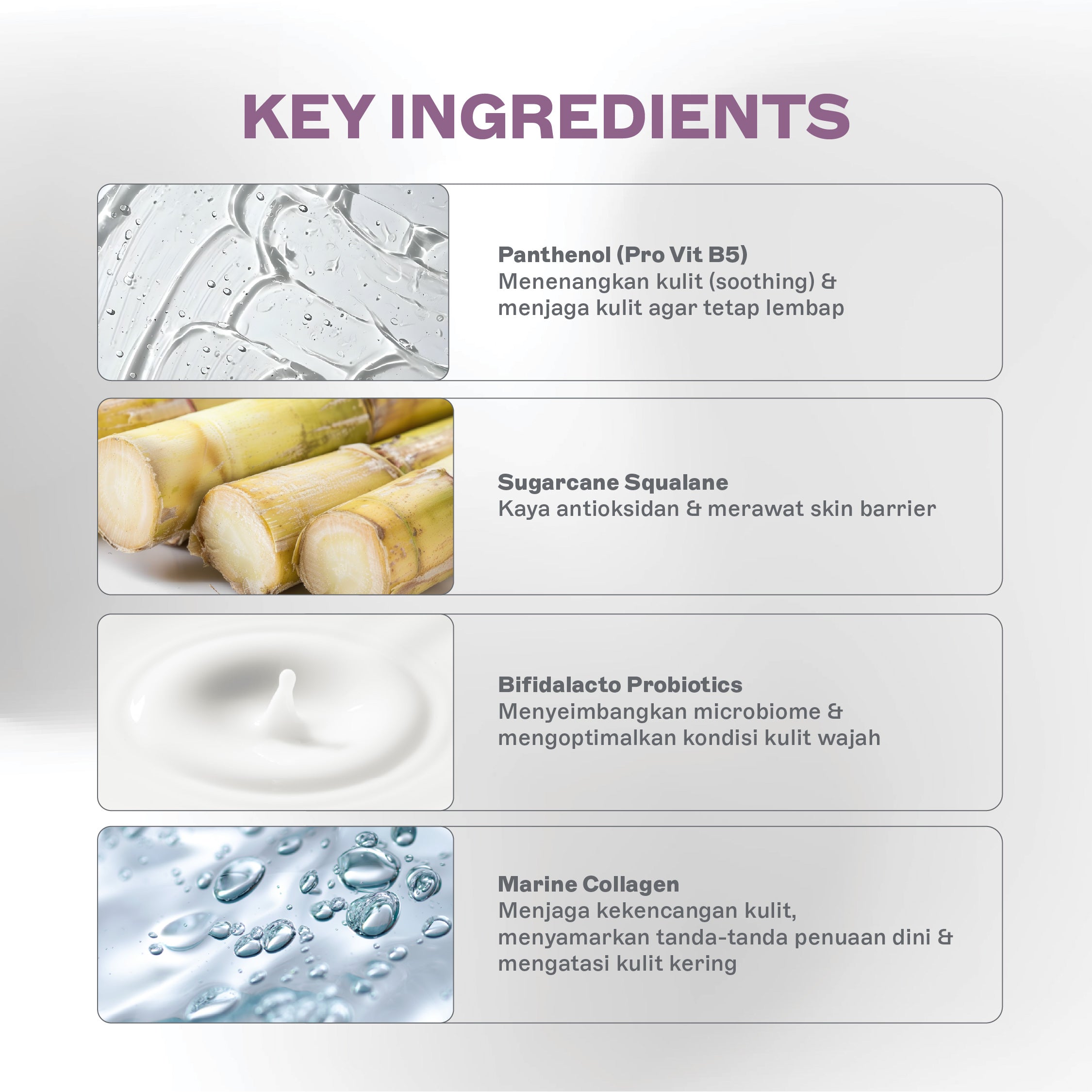 Rich Skin Barrier Cream